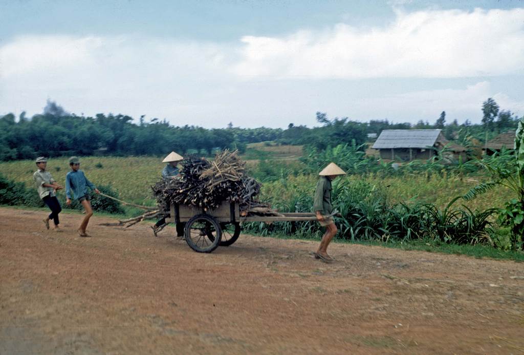 Xe chở củi trên con đường làng vùng thôn quê Quảng Trị. Ảnh chụp bởi Vstreech Quảng Trị 67-68 