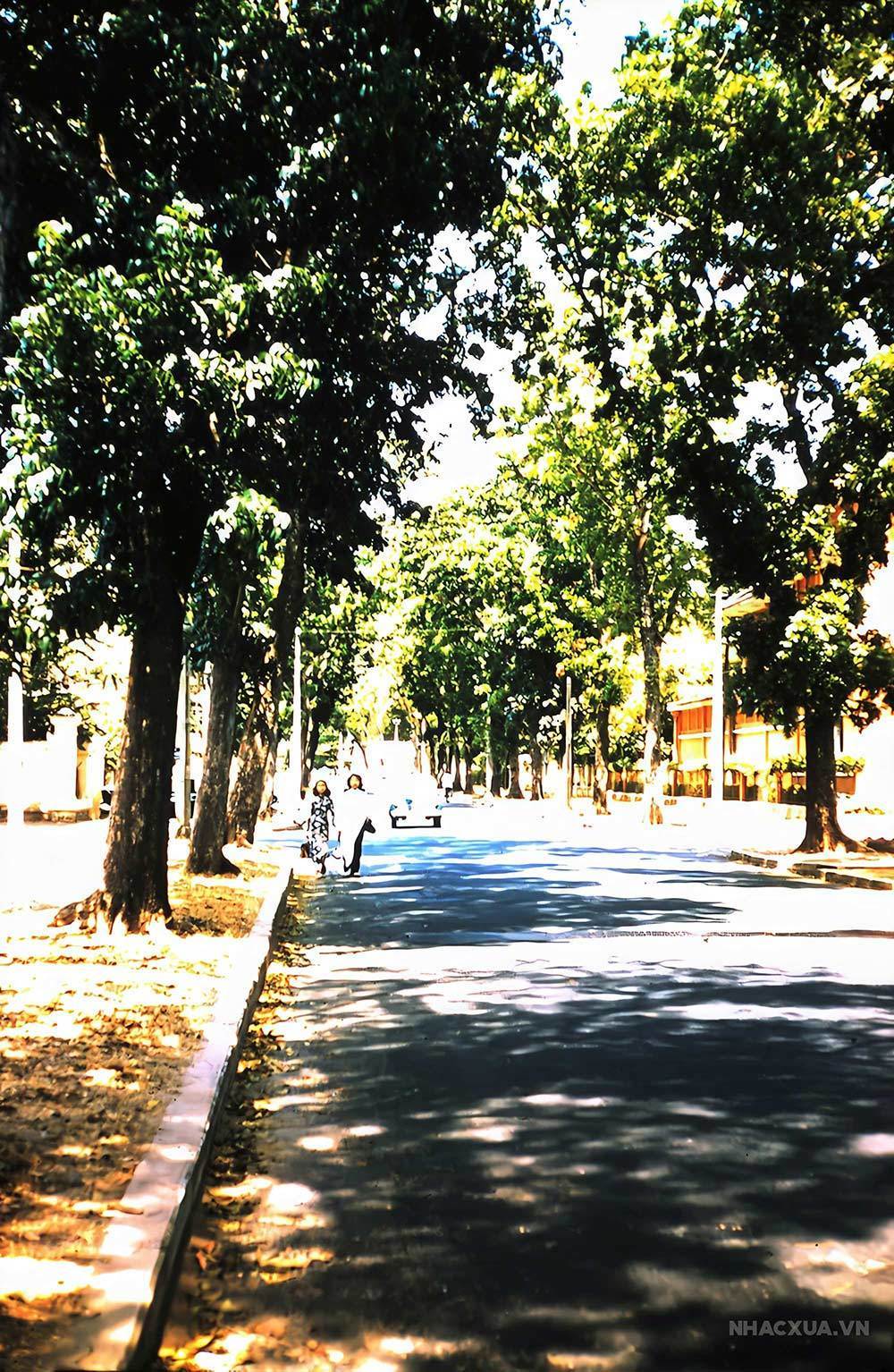 Quận 3 Sài Gòn năm 1956