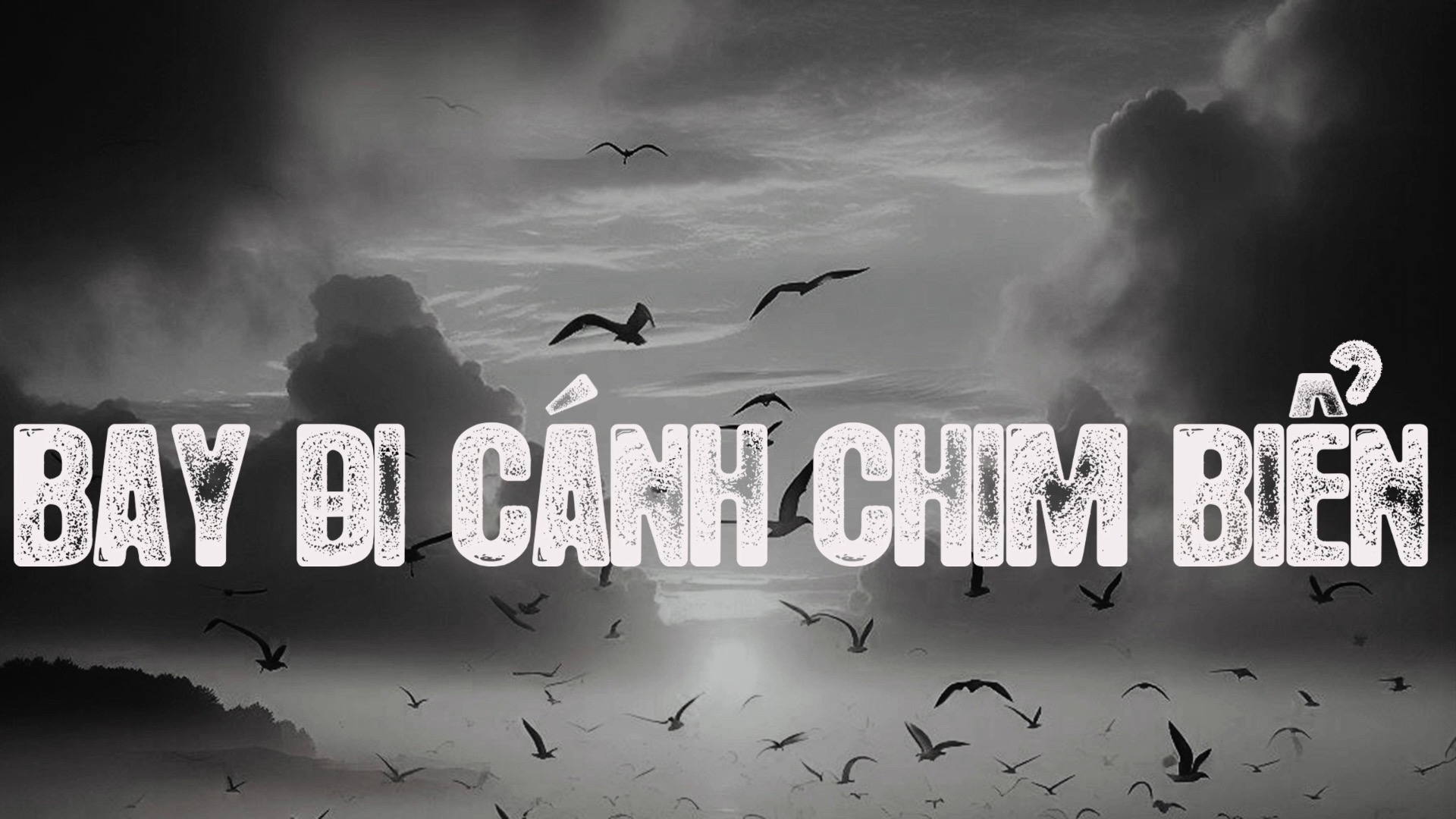 Bay Đi Cánh Chim Biển 2024 – Lê Vũ Music