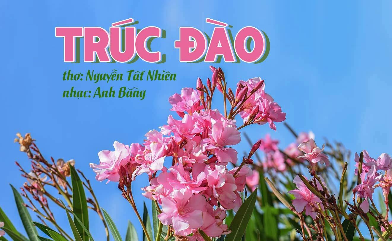 Hoàn cảnh sáng tác bài thơ - nhạc nổi tiếng "Trúc Đào" của Nguyễn Tất Nhiên và nhạc sĩ Anh Bằng - Chiều xưa có ngọn trúc đào...