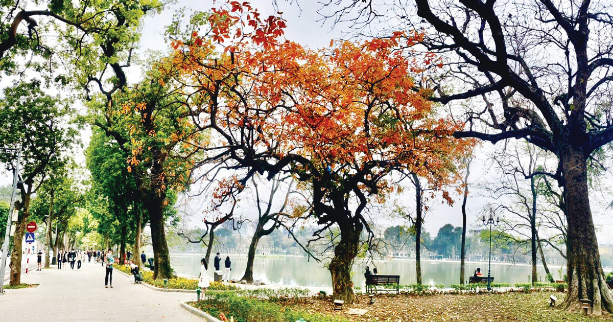 Có phải em - mùa thu Hà Nội