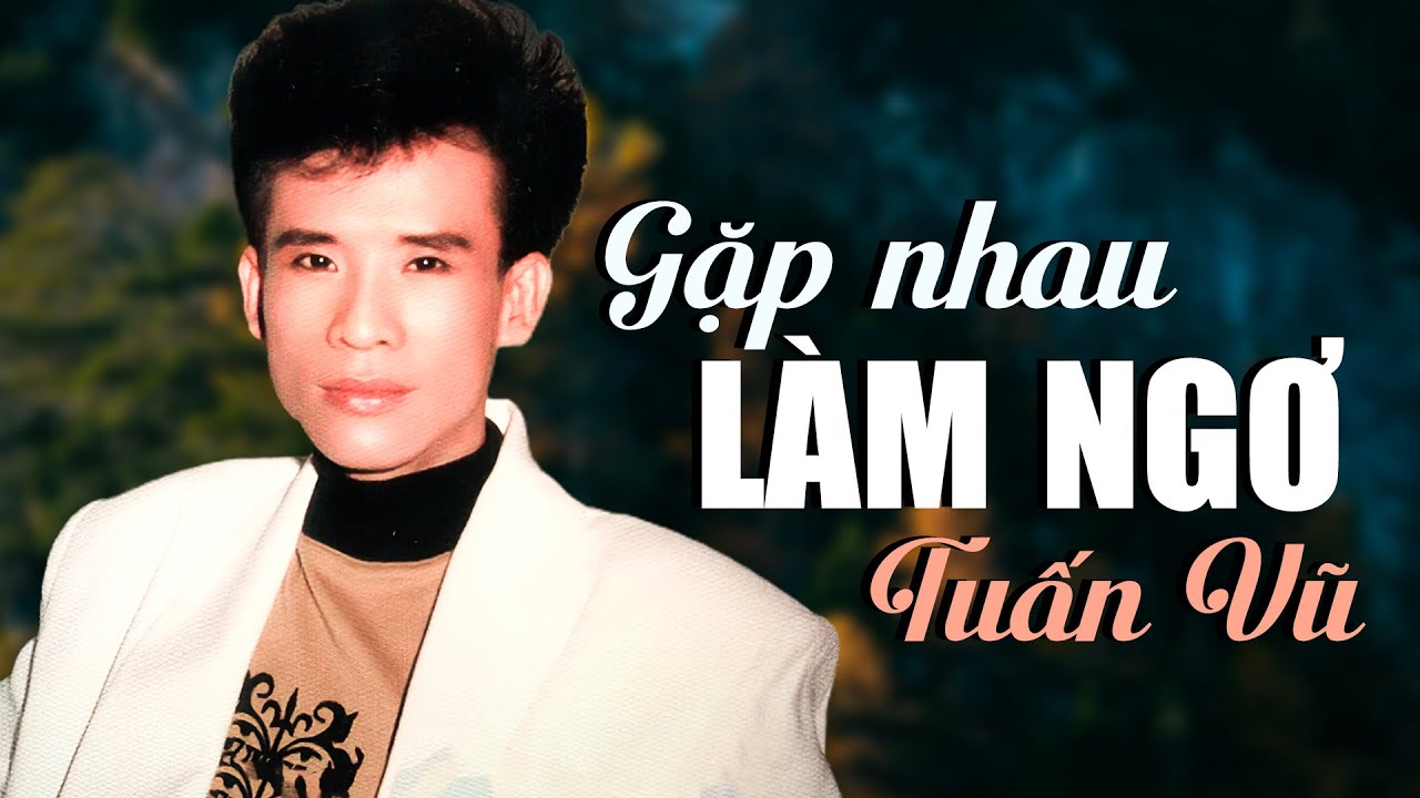 Gặp Nhau Làm Ngơ - Tuấn Vũ || Liên Khúc Nhạc Trữ Tình Chọn Lọc Lấy Đi NƯỚC MẮT Người Nghe