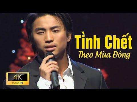 Về Ca Khúc “Tình Chết Theo Mùa Đông” Của Nhạc Sĩ Lam Phương – Nhạc Vàng