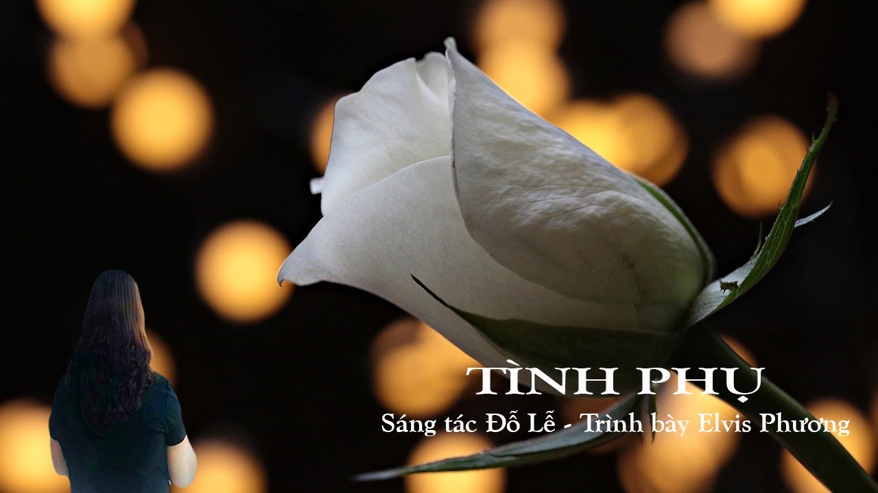 Tình phụ-Đỗ Lễ-Elvis Phương-Ban Mê Tím-2019