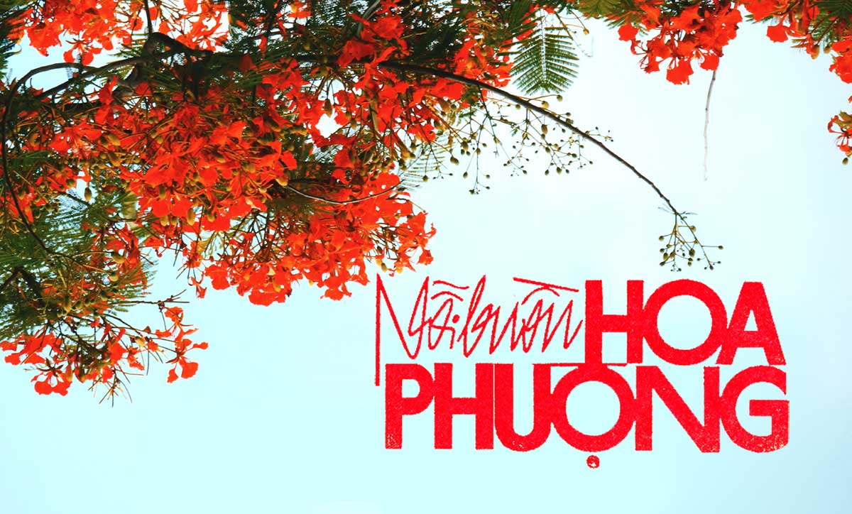 Hoàn cảnh sáng tác ca khúc "Nỗi Buồn Hoa Phượng" (Thanh Sơn) - "Mỗi lần hè thêm kỷ niệm, người xưa biết đâu mà tìm..."