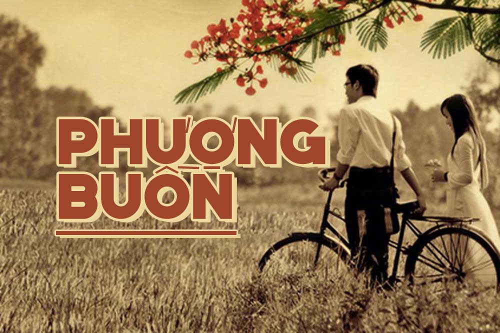 Câu chuyện đằng sau ca khúc "Phượng Buồn" của Tuấn Hải: Anh đến với em vào một ngày trời đẹp nắng…