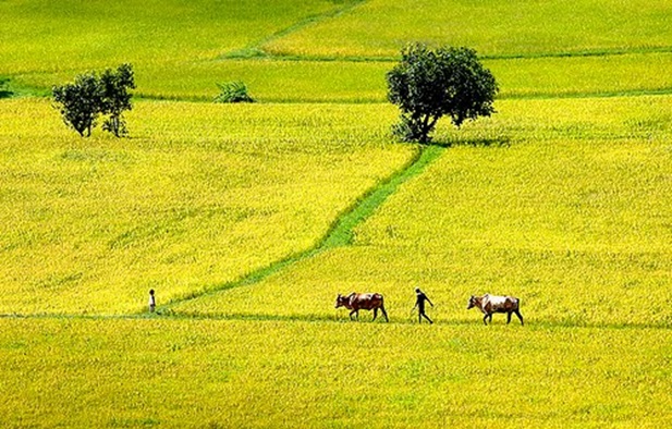 Quê hương