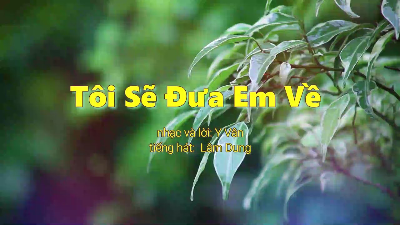 Tôi Sẽ Đưa Em Về - Y Vân