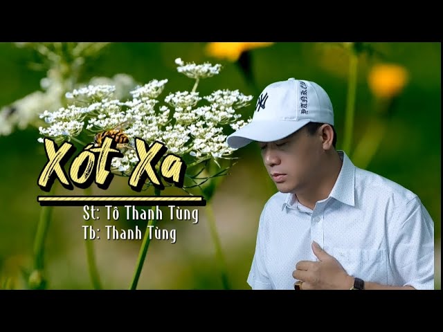 Tuyệt Phẩm | Xót Xa ( Tô Thanh Tùng ) ☘️ Đôi khi lòng muốn yêu em thật nhiều - YouTube