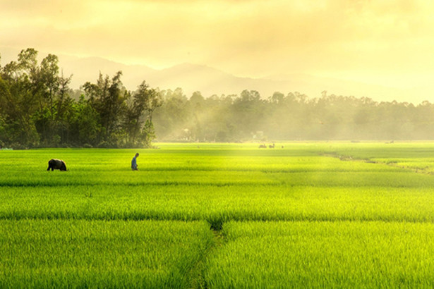 Ngoại ô êm đềm... | Báo Hà Tĩnh - Tin tức Hà Tĩnh mới nhất, tin nhanh Hà Tĩnh 24h