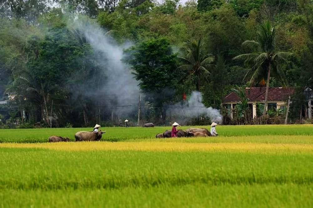 Khói lam chiều: Một biểu trưng yên bình của làng quê Việt