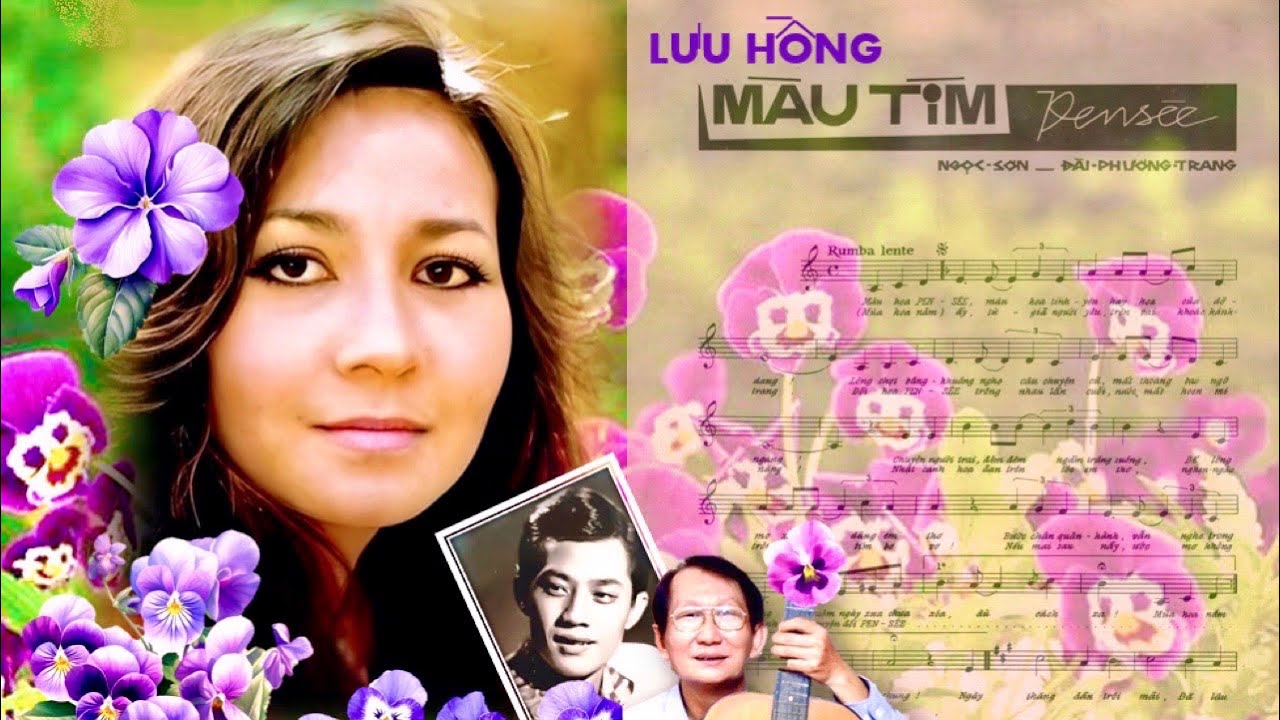 MÀU TÍM PENSÉE (NGỌC SƠN & ĐÀI PHƯƠNG TRANG) - LƯU HỒNG