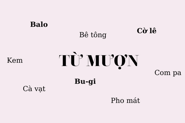 Từ mượn là gì? Nguyên tắc sử dụng từ mượn trong tiếng Việt