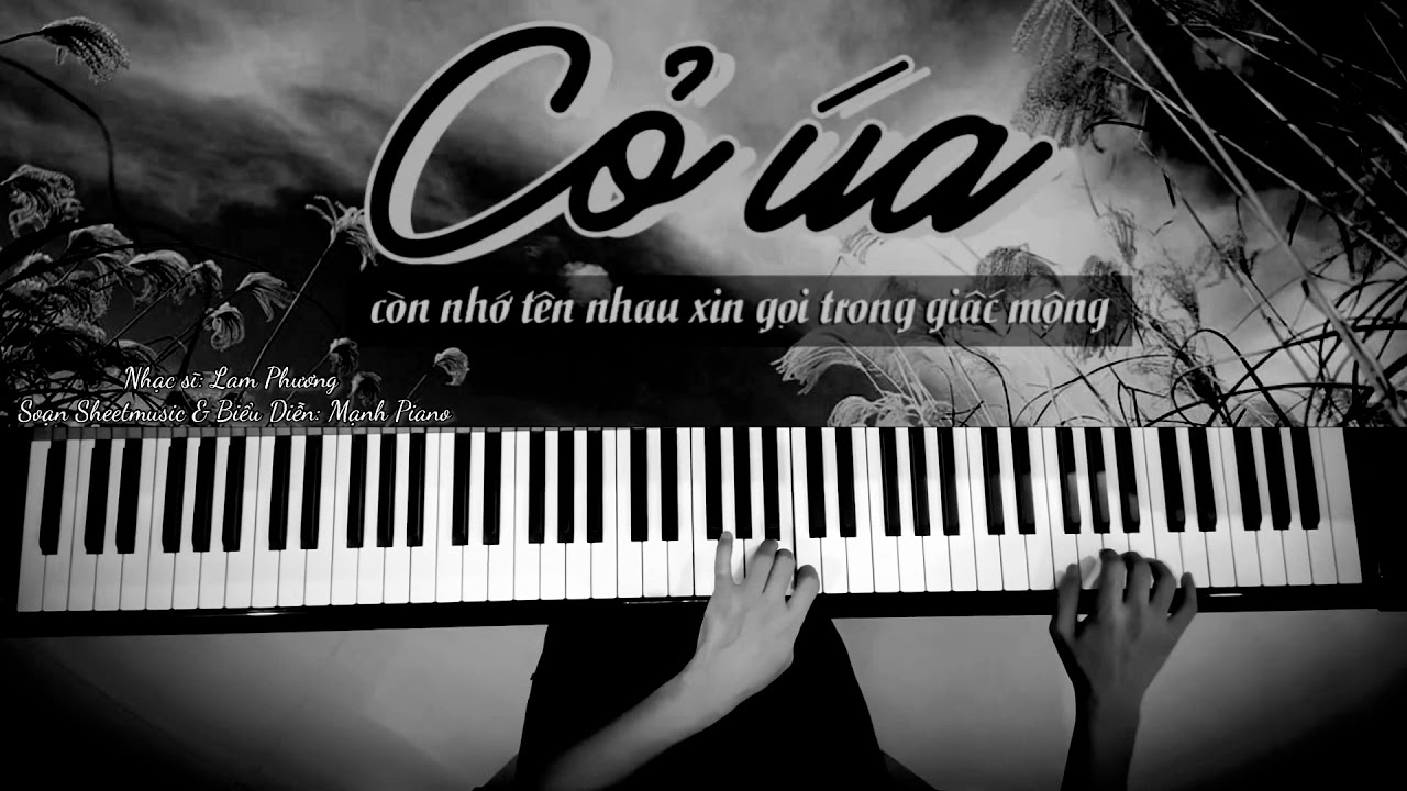 🎵Bản Nhạc Thất Tình của Kẻ Đa Tình - CỎ ÚA | Lam Phương / Mạnh Piano