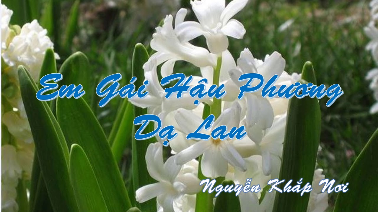 Nguyễn Khắp Nơi: Em Gái Hậu Phương "Dạ Lan"