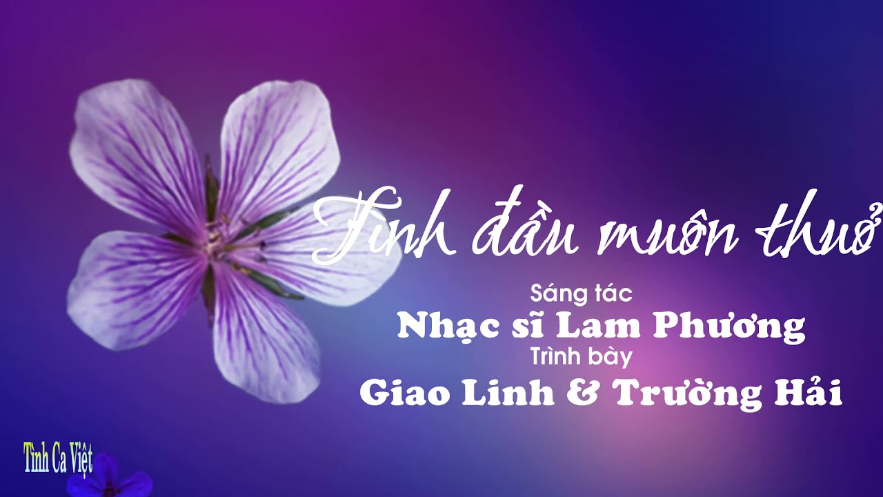 Tình Đầu Muôn Thuở , Sáng tác Lam Phương , Ca sĩ Giao Linh , Trường Hải ,