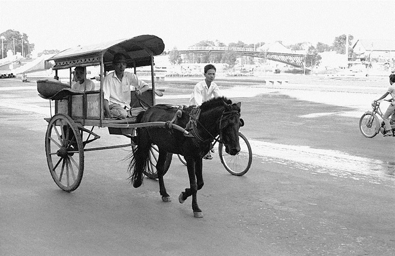 Xe thổ mộ, phương tiện giao thông vang bóng Sài Gòn xưa